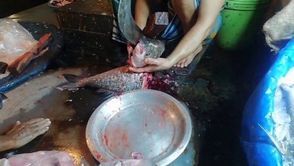 A Big size fish cutting in bazar ||  New traditional Fish Cutting Video