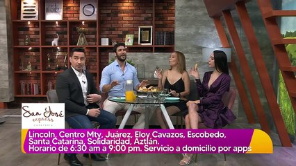 Perro empuja la silla de ruedas de su dueño