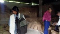 Video Story- The team reached the investigation of 6 thousand quintals