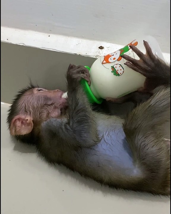 So cute.