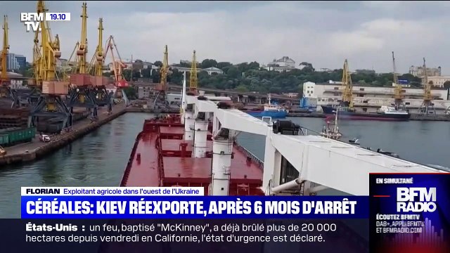 Exportation des céréales ukrainiennes: le témoignage d'un exploitant français en Ukraine