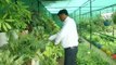 Good news: Engineer turns his passion for growing plants and vegetables into profession