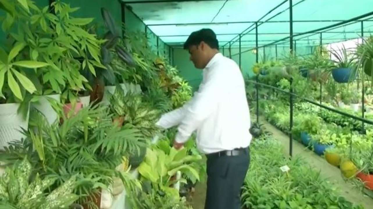 Good news: Engineer turns his passion for growing plants and vegetables into profession