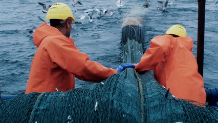 Community Project Brings Salmon To Alaskan Families In Need