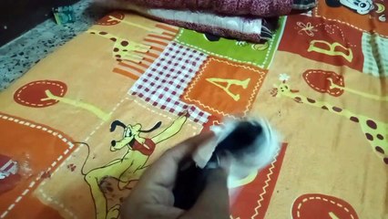 Ham Ja rahe hai Ahmednagar sainagar shirdi train Kalyan station se ....