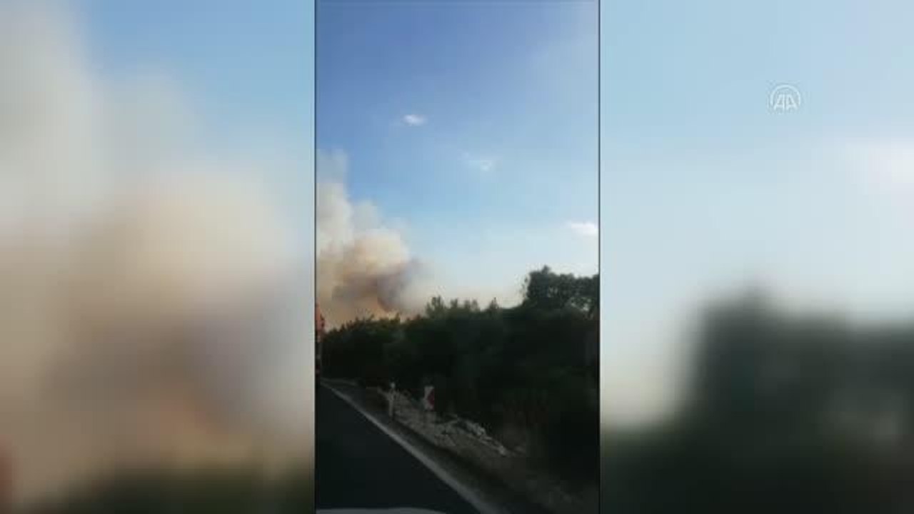 Son dakika haber: Tarım alanında çıkan yangına müdahale ediliyor