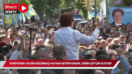 Скачать видео: Akşener: Suriye'den 100 bin küçükbaş hayvan getiriyorsun senin çiftçin ölüyor