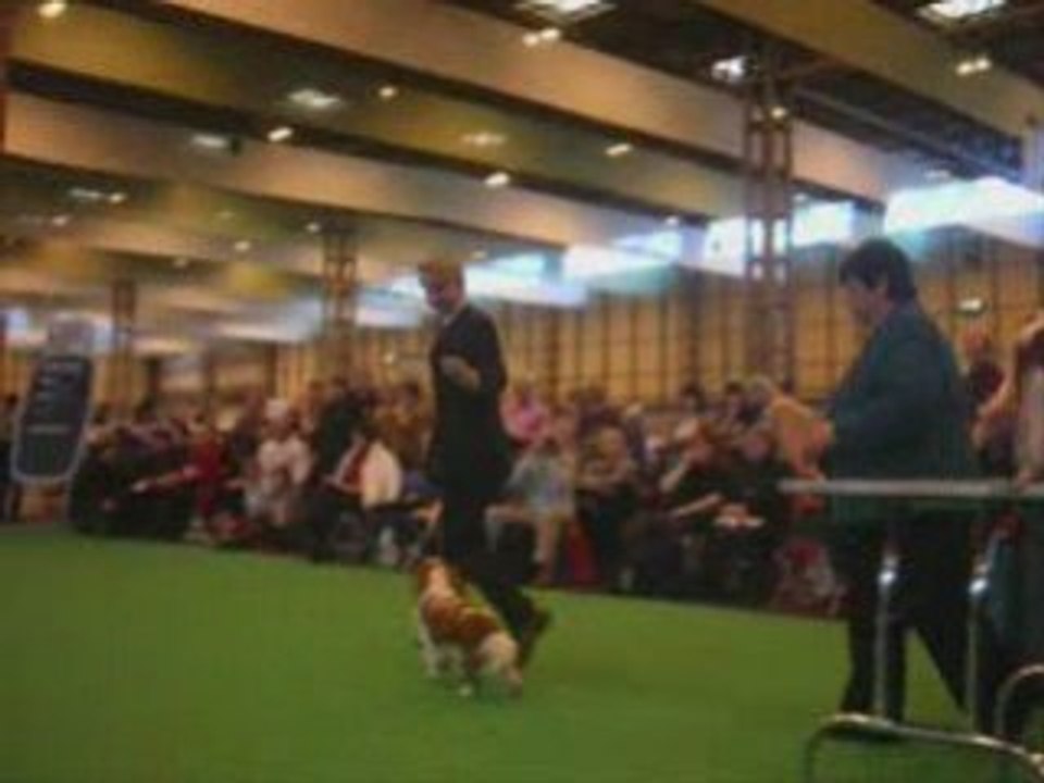 Crufts 2