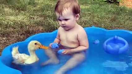 Funny Baby Reaction to Duckling in the water Pool