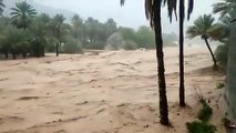 بالفيديو.. مشهد مرعب لجريان السيول وجرف السيارات في سلطنة عمان