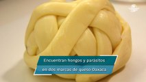 Profeco señala dos marcas de queso Oaxaca que ponen en riesgo la salud