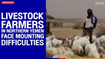 Livestock farmers in northern Yemen face mounting difficulties | The Nation
