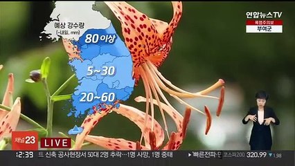[날씨] 내일까지 산발적 비…전국 곳곳 폭염특보