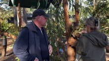 Port Stephens Koala Sanctuary (1)