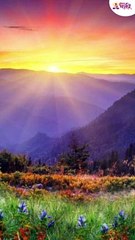 सूर्य किरणांचे महत्व काय? Importance of Surya Kiran | Dr. Raviraj Ahirrao | Lokmat Bhakti #shorts