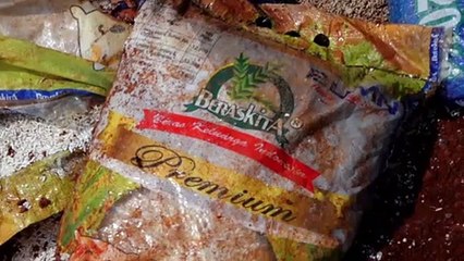Beras Bansos Presiden Ditemukan Ditimbun Di Lahan Kosong