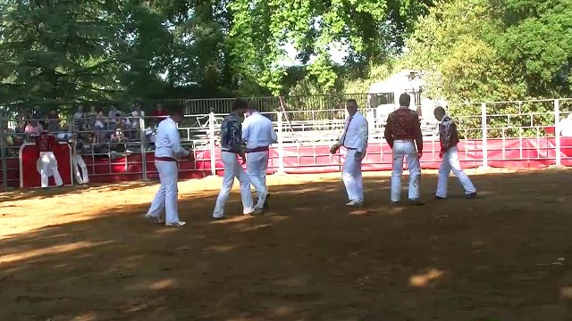 07 31.07.2022 Bretagne de Marsan Ganaderia Dargelos Cuadrilla Oliiver Larrieule Course de Seconde 2e Partie