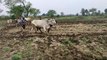 Video Story- यहां मानसून का कमजोर पड़ा सिस्टम, खरीफ की मात्र 77 फीसदी बुवाई, किसानों की बढ़ी चिंता