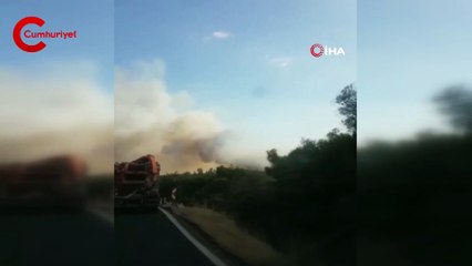 İzmir’de ziraat arazisinde yangın