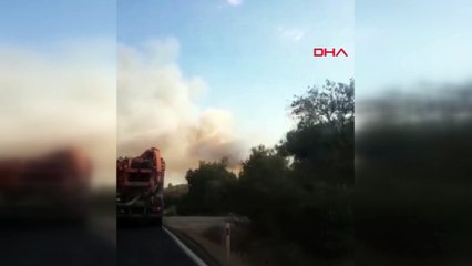 İzmir'de, tarım alanında yangın