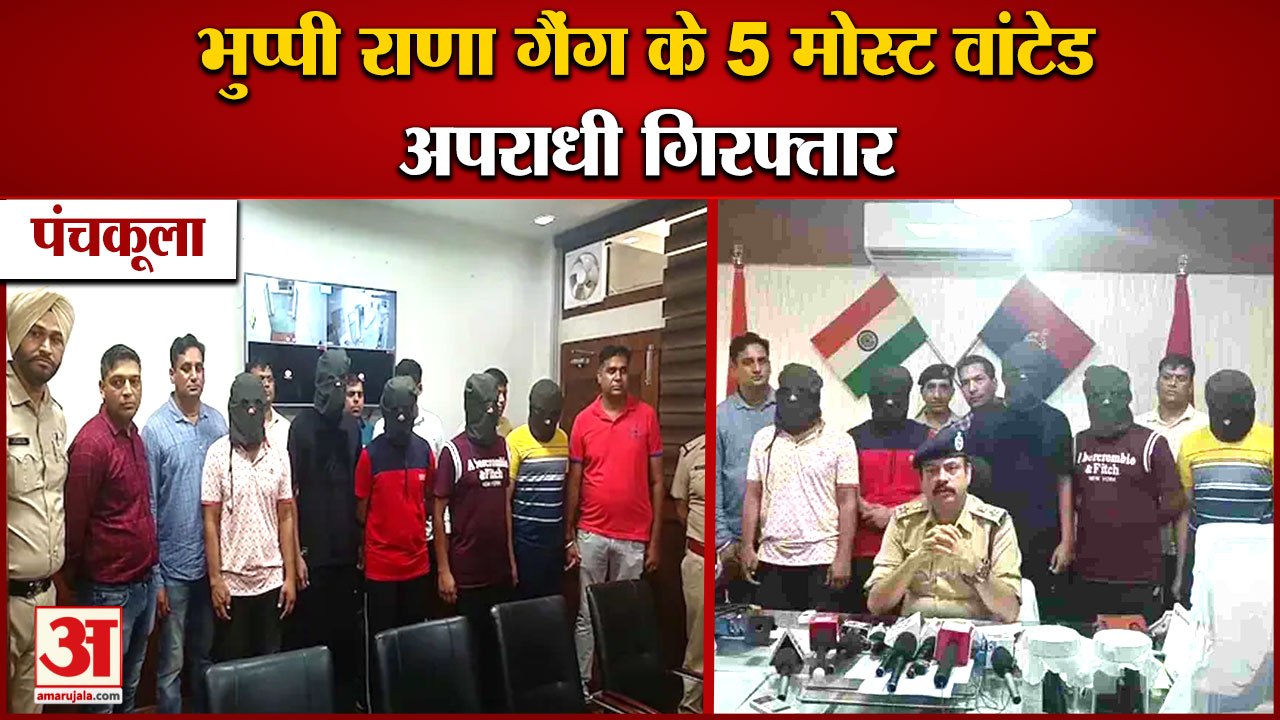 5 Gangsters of Bhuppi Rana Gang Arrested In Panchkula|भुप्पी राणा गैंग के 5 गैंगस्टर गिरफ्तार|Police