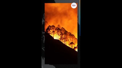 AKP Z kuşağına ulaşmak için trol hesap açtı