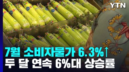 24년 만에 소비자물가 두 달 연속 6%대..."9∼10월에 정점" / YTN
