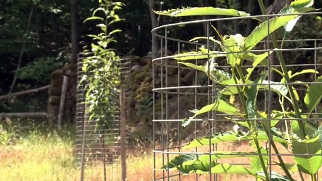 Extremadura lucha contra la desertificación de la mano del proyecto 'Life Desert Adapt'