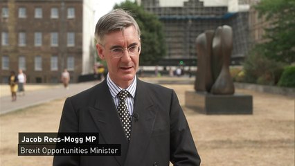 Rees-Mogg calls Sunak’s tax cuts ‘fairy-tale economics’