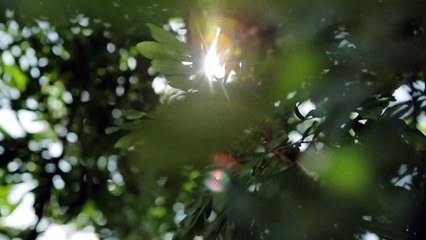 Season 2 Episod 6 Segmen 3_Masker DIY