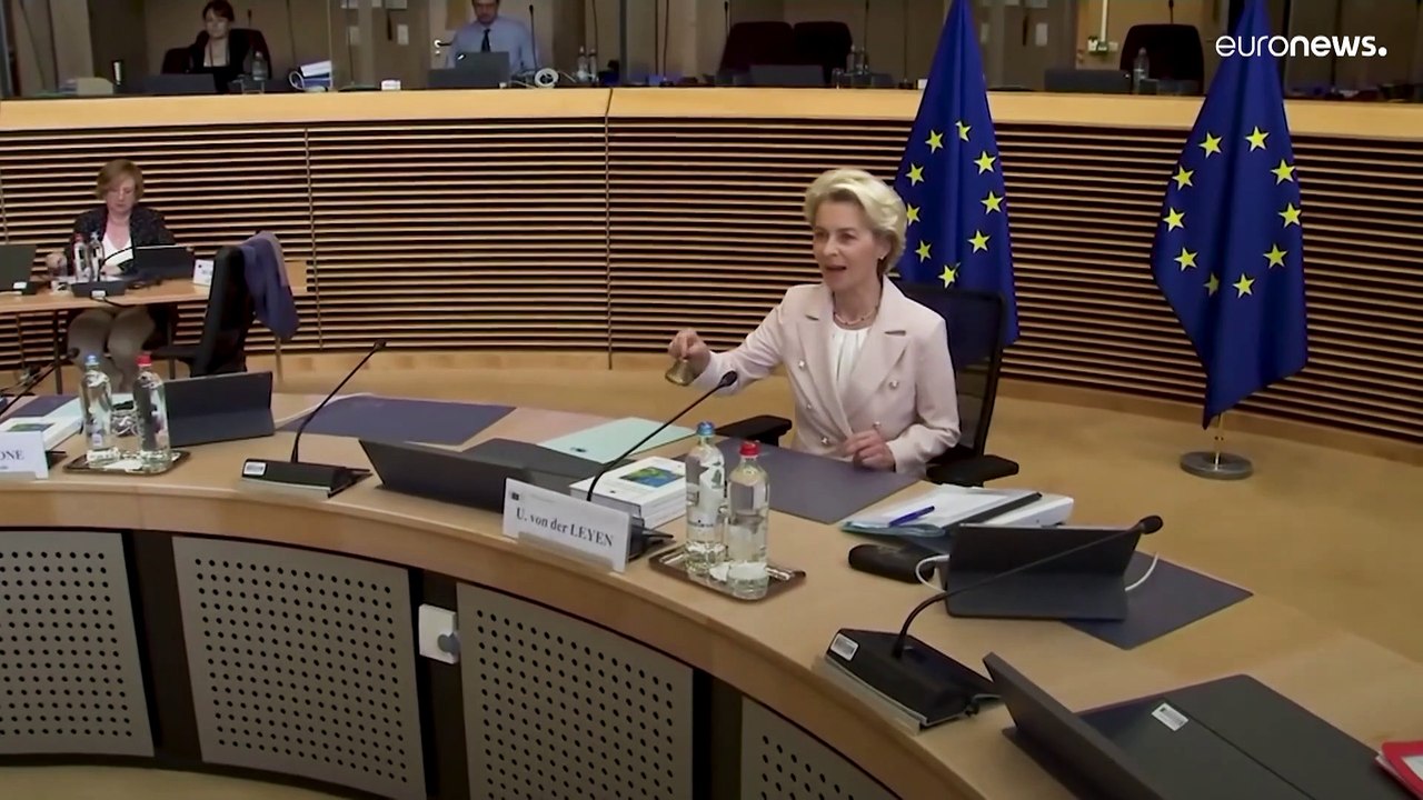 Welche Aufgaben hat die Europäische Kommission?