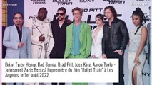 Brad Pitt détonne dans un look coloré... entouré d'une déferlante de décolletés !