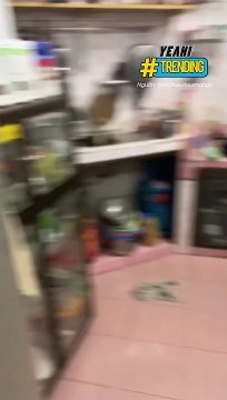 Bày trò trêu boss và cái kết không biết ai mới là người bị trêu