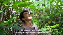 Quand des enfants risquent leur vie : les dessous de l'açaï au Brésil – Brut.documentaires