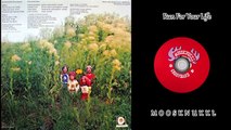 Moosknukkl Groovband - Moosknukkl Groovband 1973 (Canada, Progressive Boogie Rock)