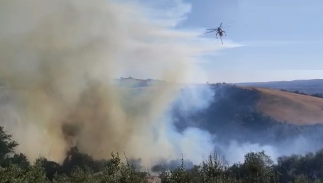 Guardea (TR) - Incendio boschivo, intervengono Vigili del Fuoco (02.08.22)