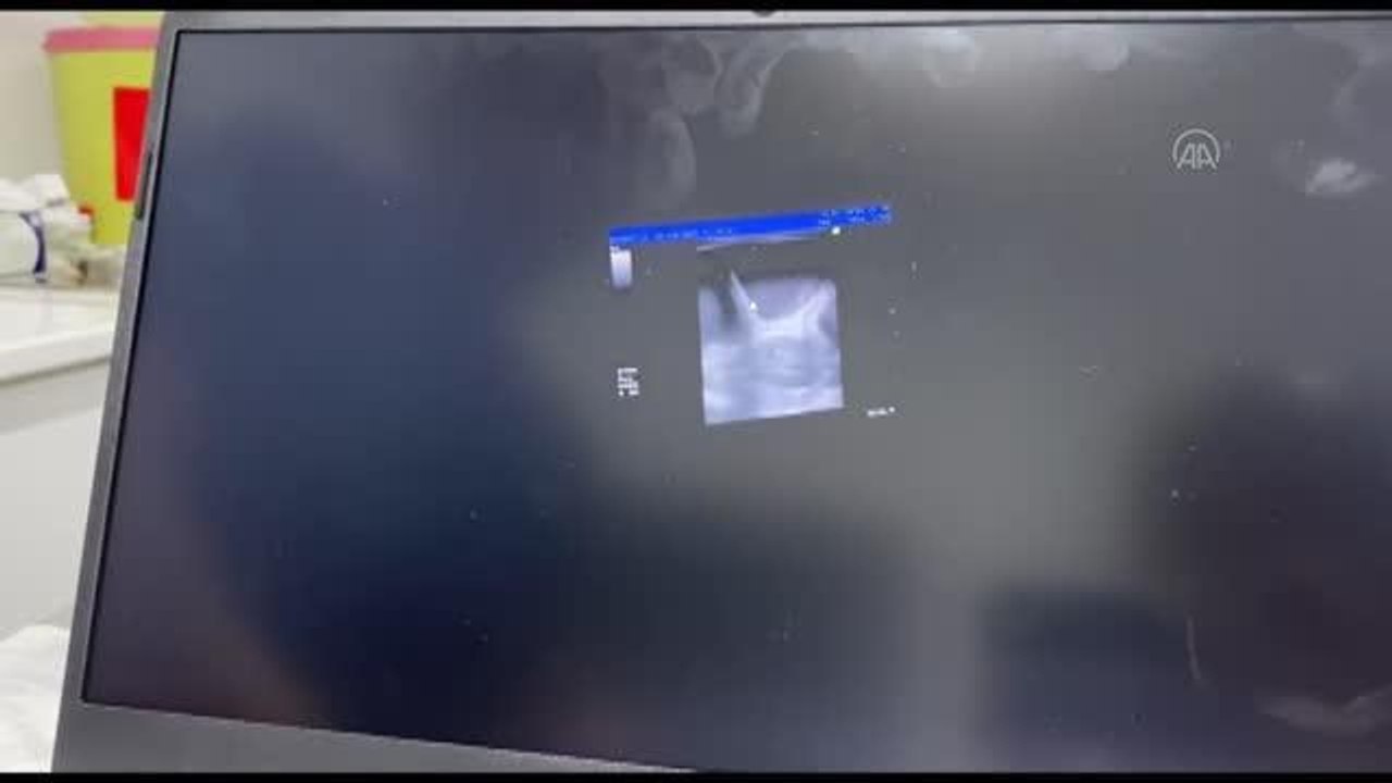 Zonguldak haberleri... ZONGULDAK - Rahminde iltihap bulunan köpek ameliyatla sağlığına kavuşturuldu