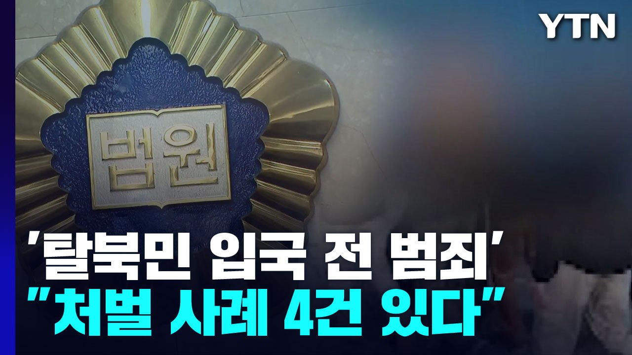 "탈북민 입국 전 범죄 처벌 가능"...판례 찾아보니 / YTN