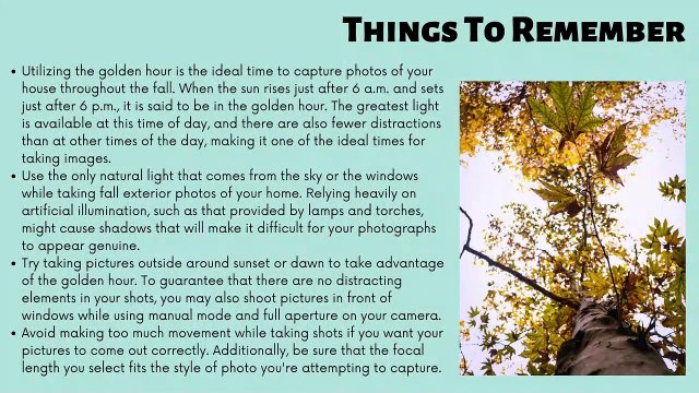 Mohit Bansal Chandigarh- Top Fall Photography Ideas You Can Beautify Into On A Tight Budget