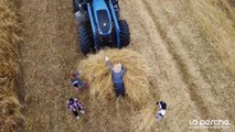 La paille en paille « La Perche » a fait sa moisson