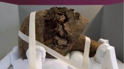 Une mystérieuse tête de momie égyptienne intrigue les chercheurs en Angleterre