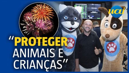 PL que proíbe fogos de artifício em BH é aprovado