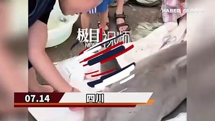 Koruma altındaki beyaz köpek balığını yiyen vlogger: Görüntüsü ürkünç ama eti yumuşak