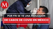 Pandemia de covid-19 tiene una tendencia muy clara a la baja en México: López-Gatell