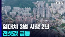임대차3법 시행 2년...전셋값 급등에 월세만 폭증 / YTN