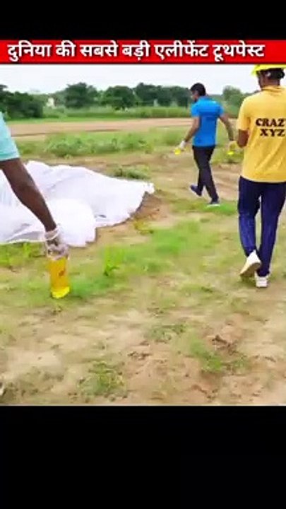 दुनिया की सबसे बड़ी एलीफेंट टूथपेस्ट @Crazy XYZ  @MR. INDIAN HACKER shorts  @MrBeast   #shorts