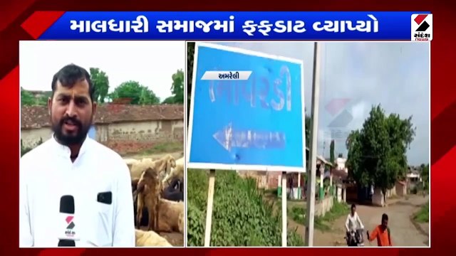 ગુજરાતમાં જામ્યો વરસાદી માહોલ| માલધારી સમાજમાં ફફડાટ ફેલાયો