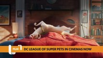 Summer holidays film guide: Keep the kids entertained this summer with DC League of Super Pets, The Sea Beast & Lightyear