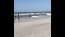 ¡Fuera del agua!: video muestra a tiburones nadando cerca de niños en Florida