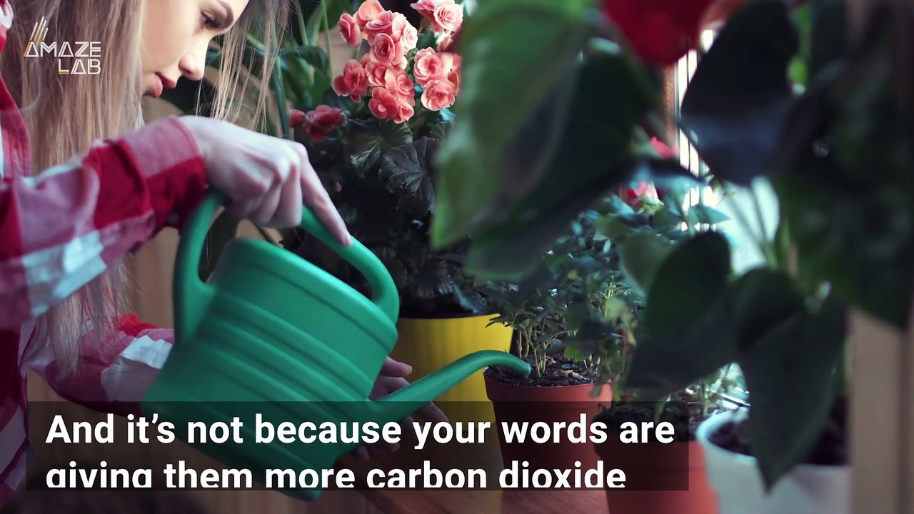 Does Talking To Plants Actually Help Them Grow?